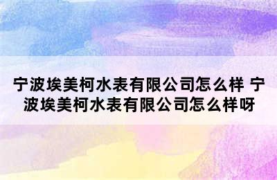 宁波埃美柯水表有限公司怎么样 宁波埃美柯水表有限公司怎么样呀